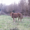 Photo de Joueuse