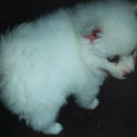 Photo de profil de Filou