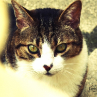 Photo de profil de Blanby