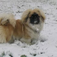 Photo de profil de Boulle et bille 
