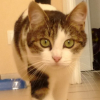 Photo de Fugane 