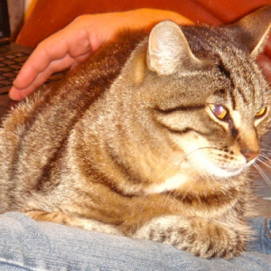 Photo de profil de Léo