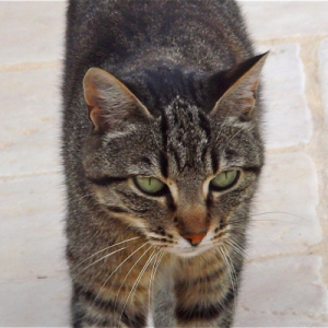 Photo de profil de Léa