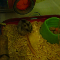 Photo de profil de Lili
