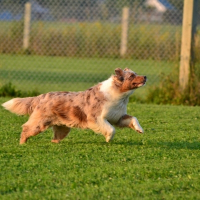 Photo de profil de Vanille