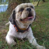 Photo de profil de Snoopy