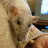 Photo de Candy