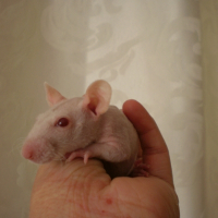 Photo de profil de Lolita