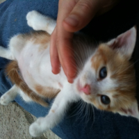 Photo de profil de Armel