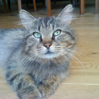 Photo de profil de Eliote