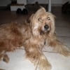 Photo de Tara