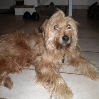 Photo de profil de Tara