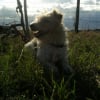 Photo de Lila
