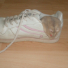 Photo de Plume
