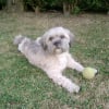 Photo de Cyrius