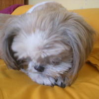 Photo de profil de Kiki