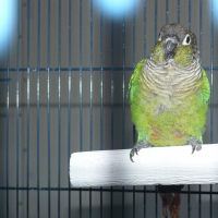 Photo de profil de Ayko