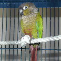 Photo de profil de Circée