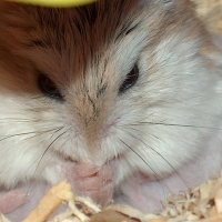 Photo de profil de Kiki