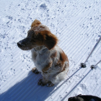 Photo de profil de Niout