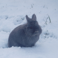 Photo de profil de Pinpin