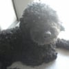 Photo de Sky