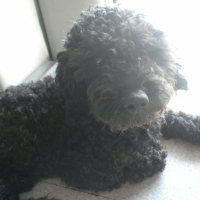 Photo de profil de Sky
