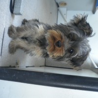 Photo de profil de Peat