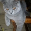 Photo de Felix