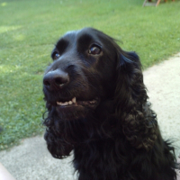 Photo de profil de Louna