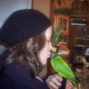 Photo de Pistache