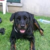 Photo de Mandie