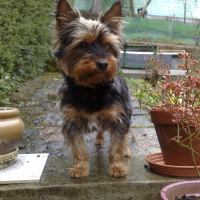 Photo de profil de Bretzel