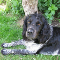 Photo de profil de Fripon