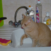 Photo de profil de Léo