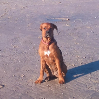 Photo de profil de Tahia