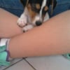 Photo de Floppie