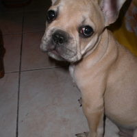 Photo de profil de Floyd