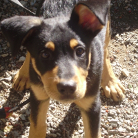 Photo de profil de Zoé
