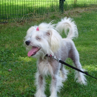 Photo de profil de Bonny