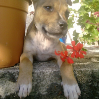 Photo de profil de Fatal milo