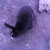 Photo de Lila