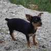 Photo de Lola