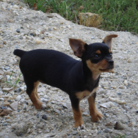 Photo de profil de Lola