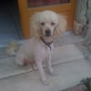 Photo de Louky