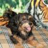 Photo de Bouba