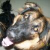 Photo de Eros