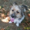 Photo de Filou
