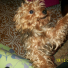 Photo de Fripoulle