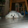 Photo de Alaska